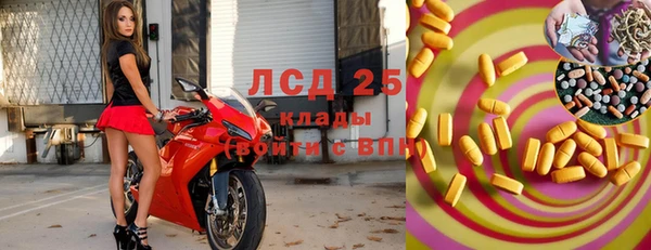 ПСИЛОЦИБИНОВЫЕ ГРИБЫ Наволоки